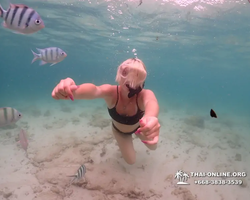 Underwater Odyssey snorkeling excursion in Pattaya Thailand photo 293