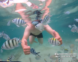 Underwater Odyssey snorkeling excursion in Pattaya Thailand photo 170