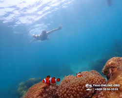 Underwater Odyssey snorkeling excursion in Pattaya Thailand photo 1027