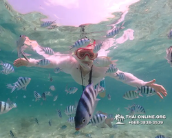 Underwater Odyssey snorkeling tour from Pattaya Thailand photo 18414