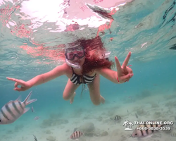 Underwater Odyssey snorkeling excursion in Pattaya Thailand photo 99