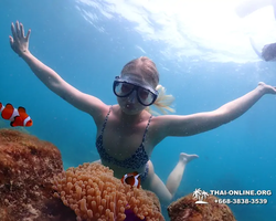 Underwater Odyssey snorkeling excursion in Pattaya Thailand photo 956