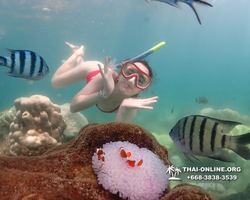 Underwater Odyssey snorkeling excursion Pattaya Thailand photo 19378