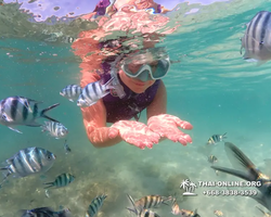 Underwater Odyssey snorkeling excursion Pattaya Thailand photo 19113