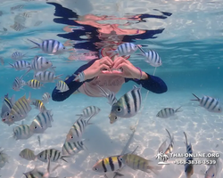 Underwater Odyssey snorkeling excursion in Pattaya Thailand photo 825