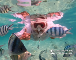 Underwater Odyssey snorkeling tour from Pattaya Thailand photo 14381