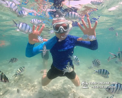 Underwater Odyssey snorkeling excursion Pattaya Thailand photo 14849