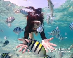 Underwater Odyssey snorkeling excursion Pattaya Thailand photo 11217
