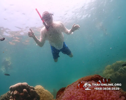 Underwater Odyssey snorkeling tour from Pattaya Thailand photo 18690