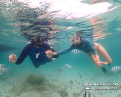 Underwater Odyssey snorkeling excursion in Pattaya Thailand photo 52