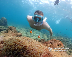 Underwater Odyssey snorkeling excursion Pattaya Thailand photo 11447