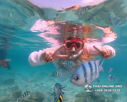 Underwater Odyssey snorkeling tour from Pattaya Thailand photo 14503