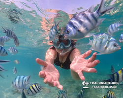 Underwater Odyssey snorkeling excursion Pattaya Thailand photo 11181
