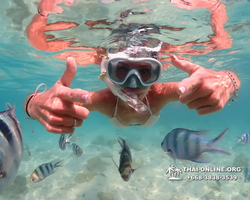 Underwater Odyssey snorkeling excursion Pattaya Thailand photo 14225