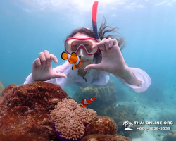 Underwater Odyssey snorkeling excursion in Pattaya Thailand photo 499