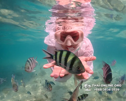 Underwater Odyssey snorkeling tour from Pattaya Thailand photo 14504