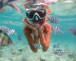 Underwater Odyssey snorkeling tour from Pattaya Thailand photo 14520