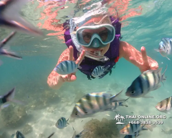 Underwater Odyssey snorkeling excursion Pattaya Thailand photo 19408