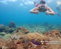 Underwater Odyssey snorkeling excursion Pattaya Thailand photo 11411