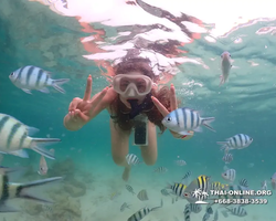 Underwater Odyssey snorkeling excursion in Pattaya Thailand photo 171