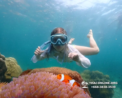 Underwater Odyssey snorkeling tour from Pattaya Thailand photo 18526