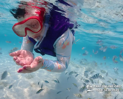 Underwater Odyssey snorkeling excursion in Pattaya Thailand photo 754