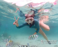 Underwater Odyssey snorkeling excursion in Pattaya Thailand photo 161