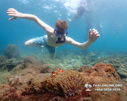 Underwater Odyssey snorkeling excursion Pattaya Thailand photo 11333
