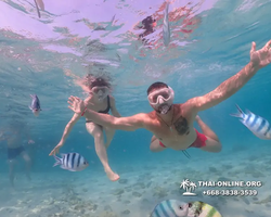 Underwater Odyssey snorkeling excursion Pattaya Thailand photo 11045