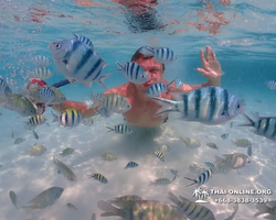 Underwater Odyssey snorkeling excursion in Pattaya Thailand photo 823