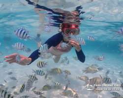 Underwater Odyssey snorkeling excursion in Pattaya Thailand photo 831