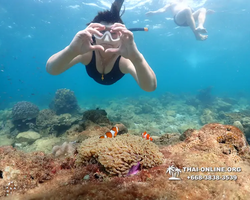 Underwater Odyssey snorkeling excursion Pattaya Thailand photo 11450