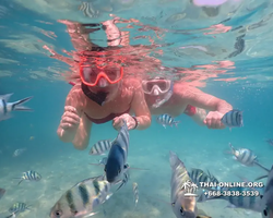 Underwater Odyssey snorkeling tour from Pattaya Thailand photo 14469