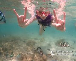 Underwater Odyssey snorkeling excursion Pattaya Thailand photo 19473