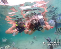 Underwater Odyssey snorkeling excursion in Pattaya Thailand photo 51