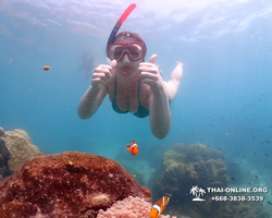 Underwater Odyssey snorkeling excursion in Pattaya Thailand photo 551