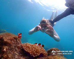 Underwater Odyssey snorkeling excursion in Pattaya Thailand photo 939