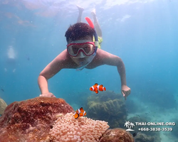 Underwater Odyssey snorkeling excursion in Pattaya Thailand photo 516