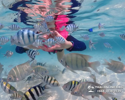 Underwater Odyssey snorkeling excursion in Pattaya Thailand photo 661