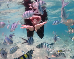 Underwater Odyssey snorkeling excursion Pattaya Thailand photo 11213