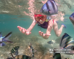 Underwater Odyssey snorkeling excursion Pattaya Thailand photo 19265