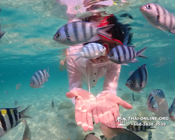 Underwater Odyssey snorkeling tour from Pattaya Thailand photo 14372