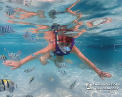 Underwater Odyssey snorkeling excursion in Pattaya Thailand photo 876