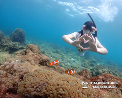 Underwater Odyssey snorkeling excursion Pattaya Thailand photo 11403