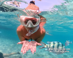Underwater Odyssey snorkeling excursion Pattaya Thailand photo 10971