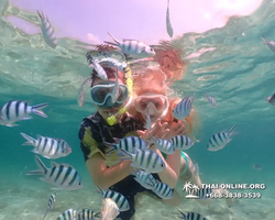 Underwater Odyssey snorkeling tour from Pattaya Thailand photo 18386