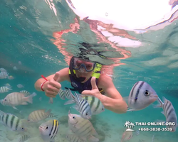Underwater Odyssey snorkeling excursion in Pattaya Thailand photo 102