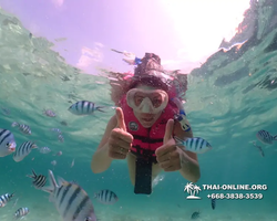Underwater Odyssey snorkeling tour from Pattaya Thailand photo 18733
