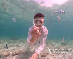 Underwater Odyssey snorkeling tour from Pattaya Thailand photo 18696