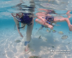 Underwater Odyssey snorkeling excursion in Pattaya Thailand photo 1007